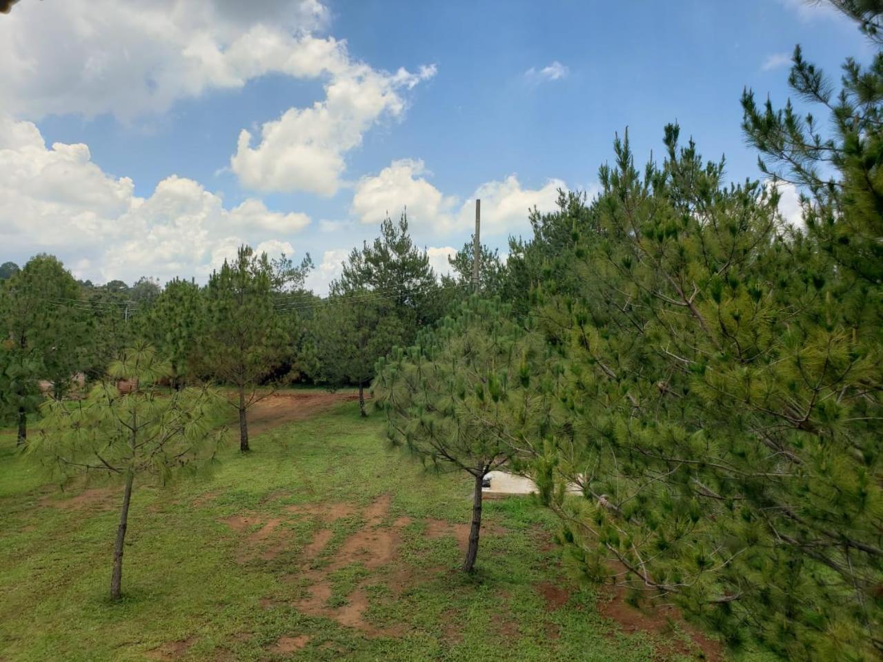 Cabanas Paseo Del Llano 마자미틀라 외부 사진